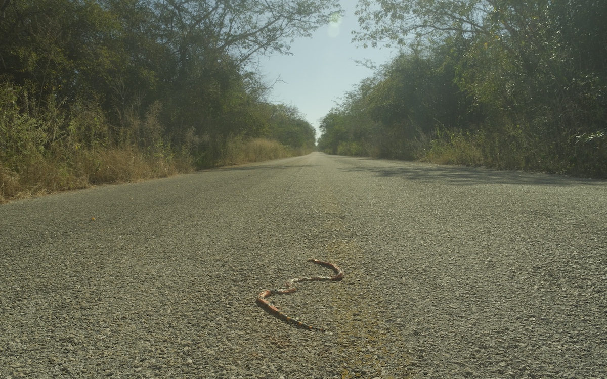 Photo by Trisha Mukherjee