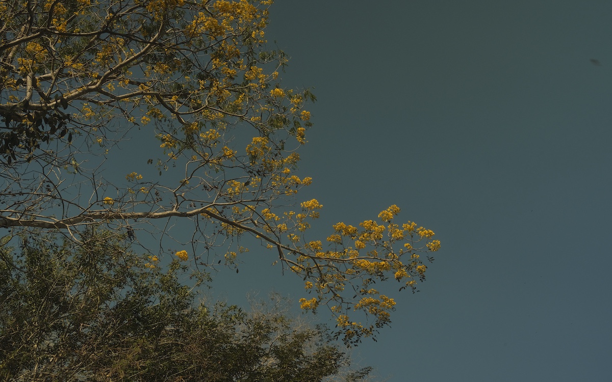 Photo by Trisha Mukherjee