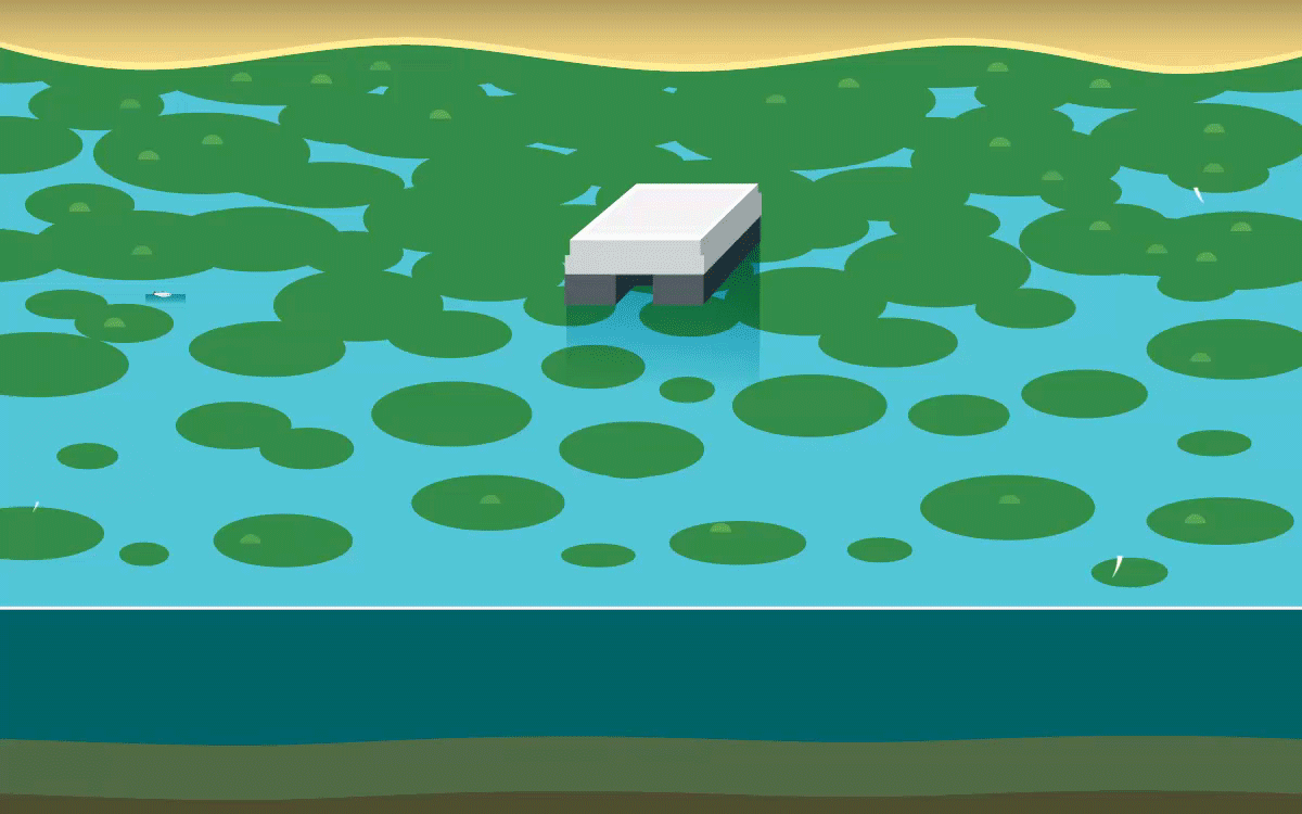 Illustration shows two adults and a child sitting next to a lake that has a rectangular ultrasonic algae remediation device floating in the middle. In the lake are harmful algal blooms and dead fish floating on top with live fish below.