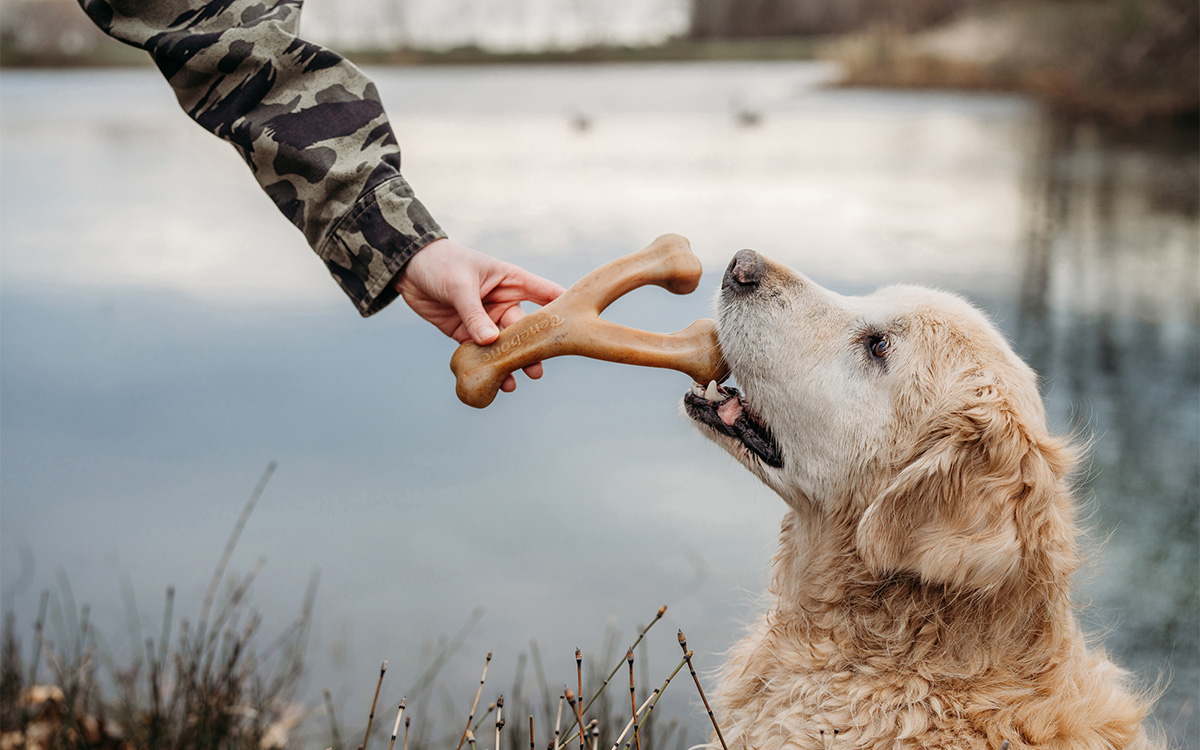 Photo courtesy of Benebone