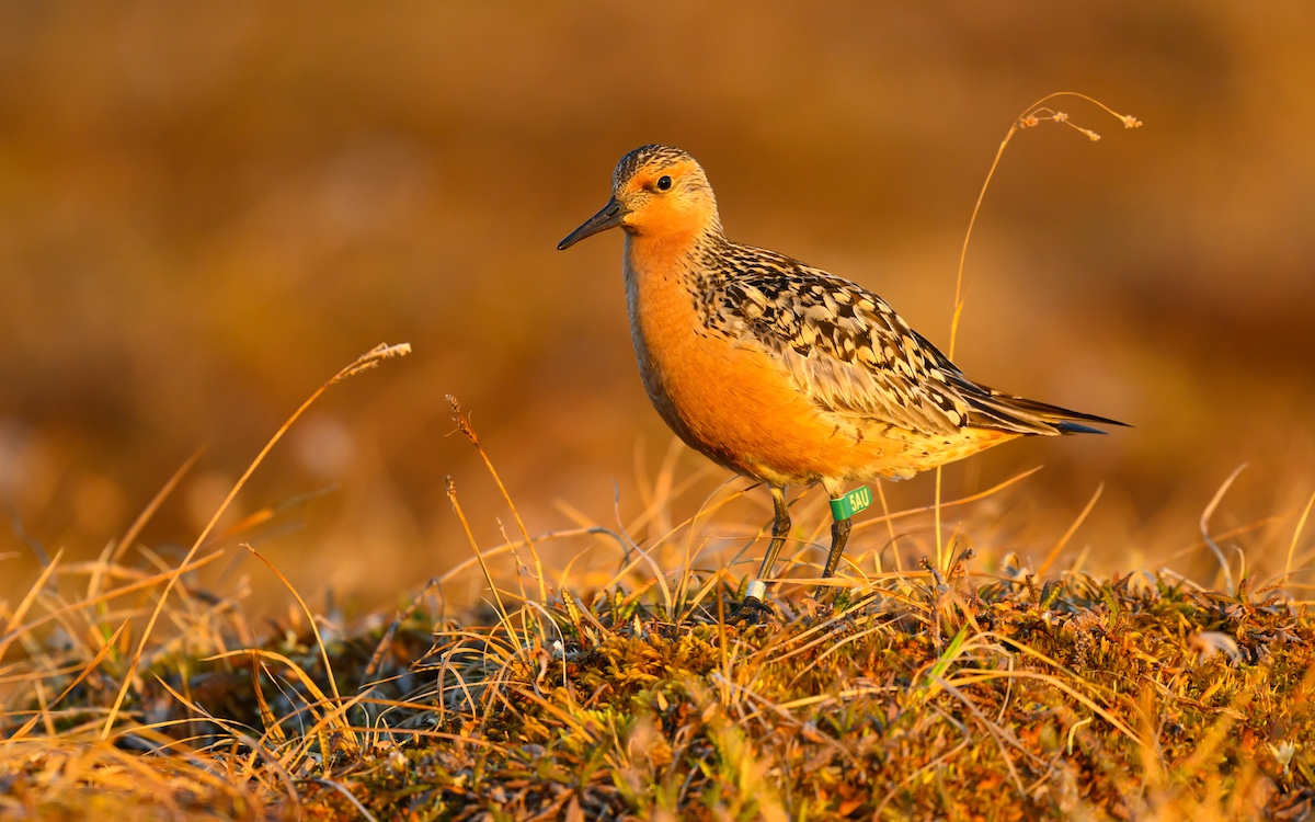 Photo by Gerrit Vynt