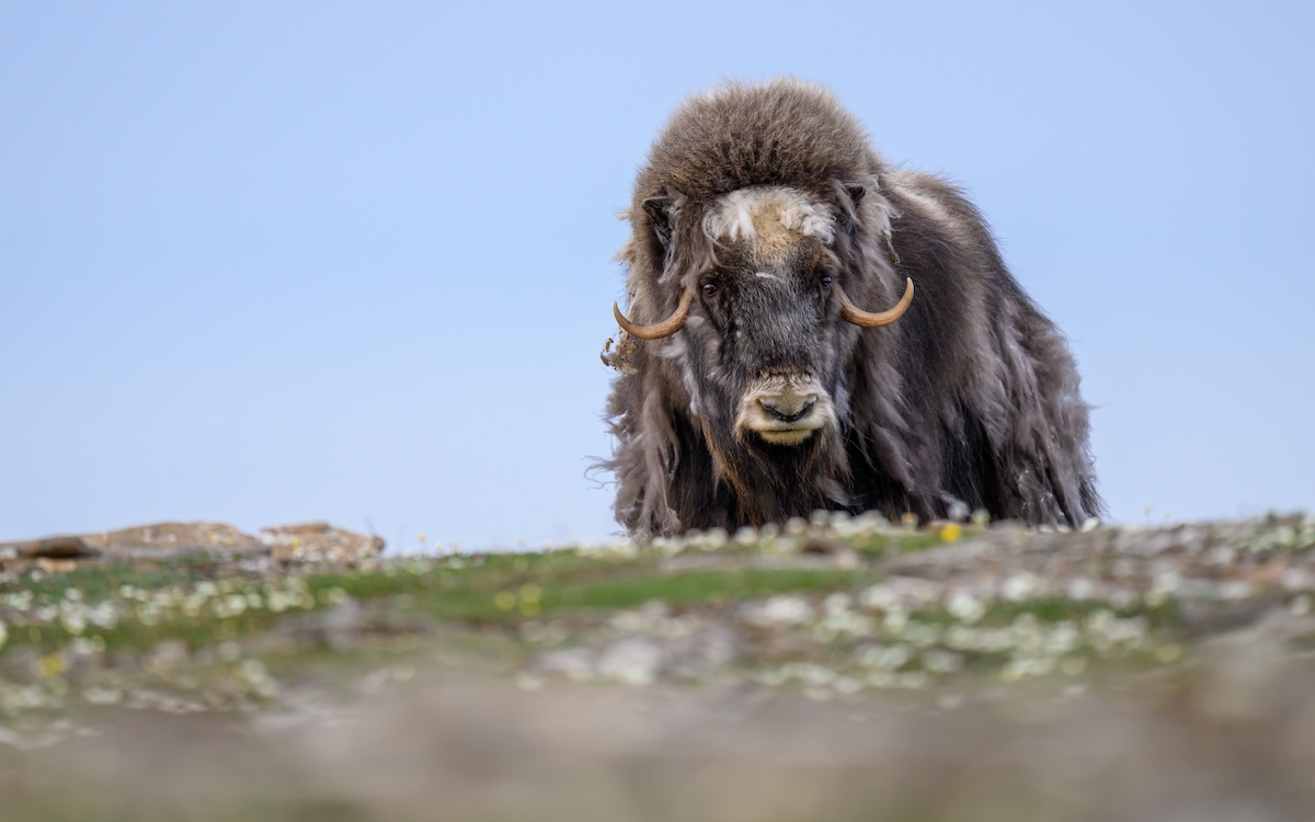 Photo by Gerrit Vynt