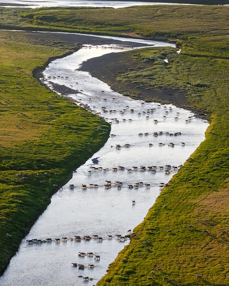 Photo by Gerrit Vynt