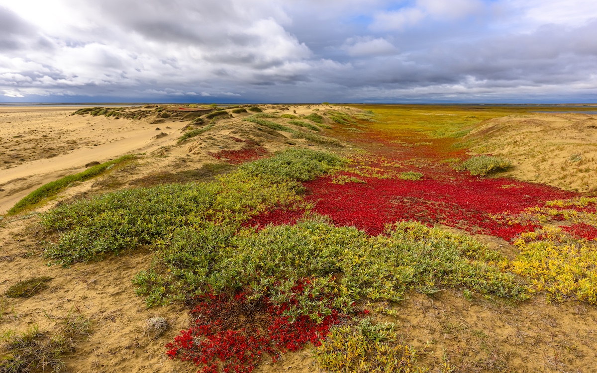 Photo by Gerrit Vynt