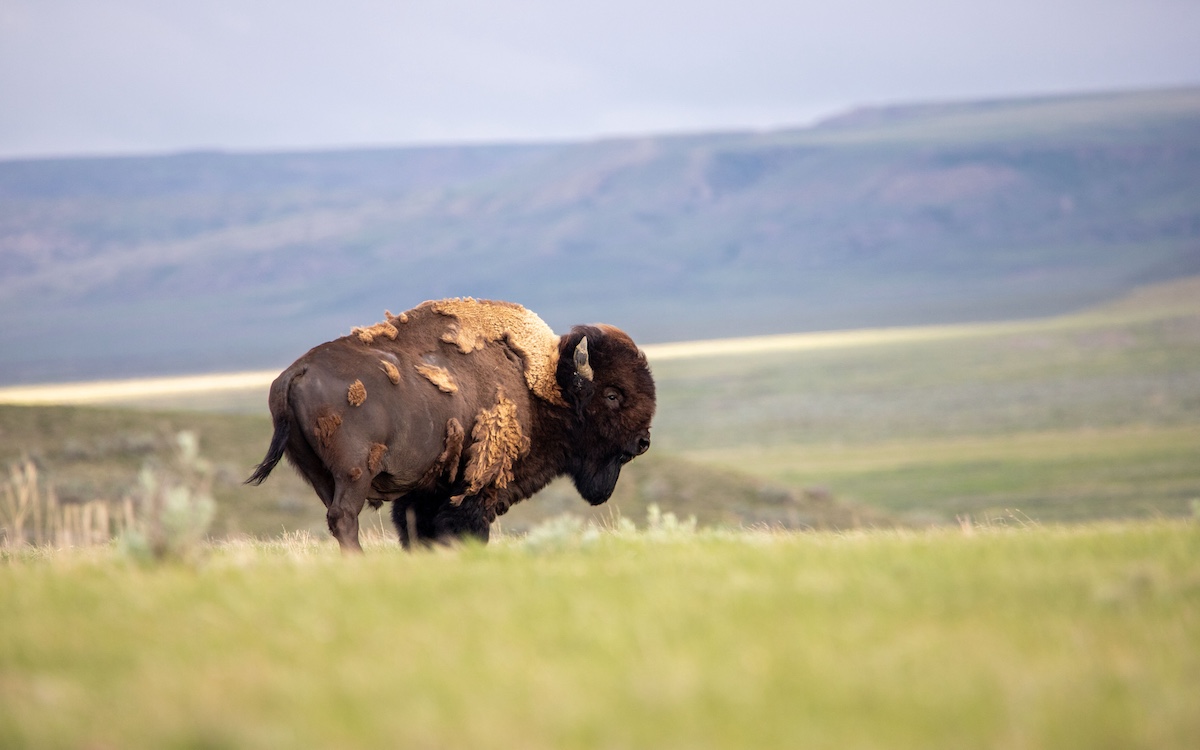 Photo by Zack Metcalfe