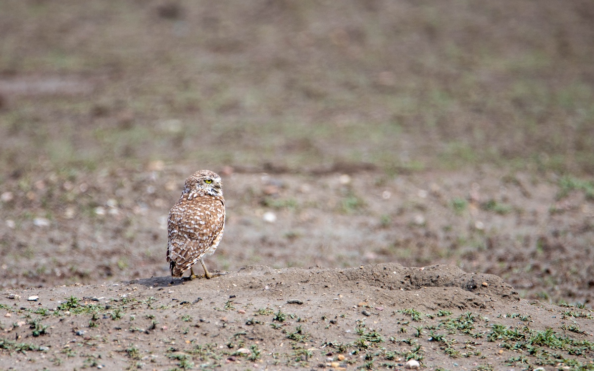 Photo by Zack Metcalfe