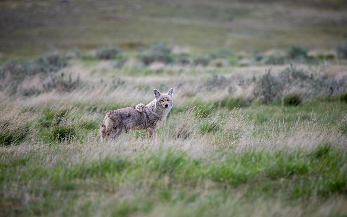 Photo by Zack Metcalfe