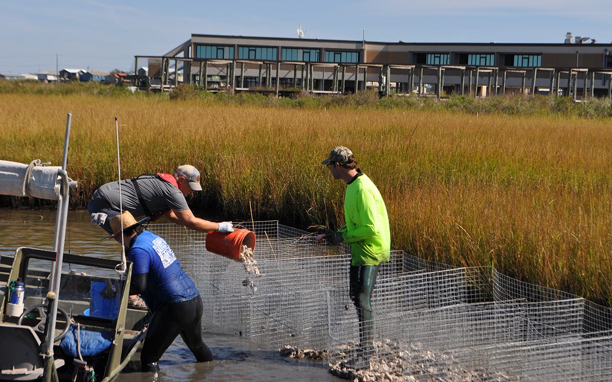 Photo courtesy of Reese Anderson