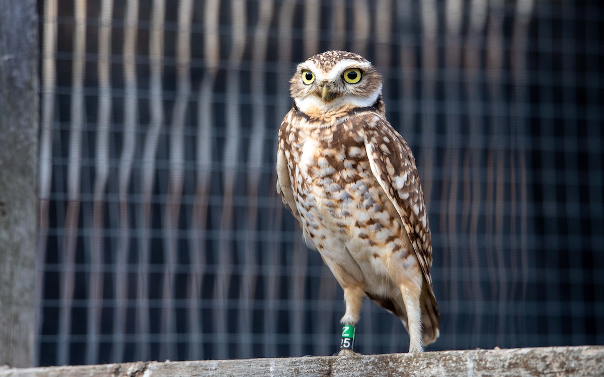 Photo by Zack Metcalfe