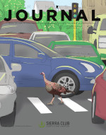 North Star Journal - Winter 2025
