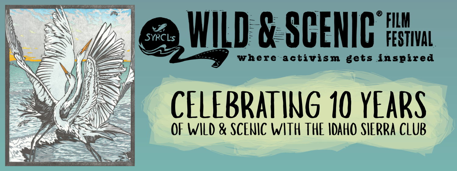 gradient blue background with Wild & Scenic Film Festival logo at the top and an illustration on a bird to the left. Text under the logo reads "Celebrating 10 years of wild & scenic with the Idaho Sierra Club