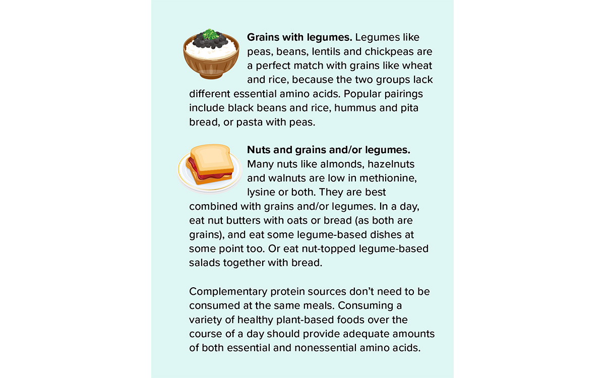 Illustration courtesy of Knowable Magazine