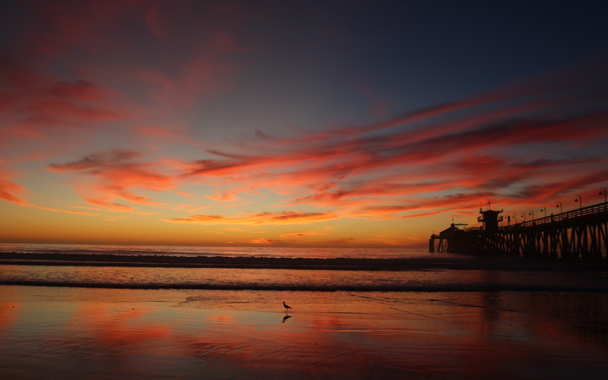 Photo by Wendee Nicole