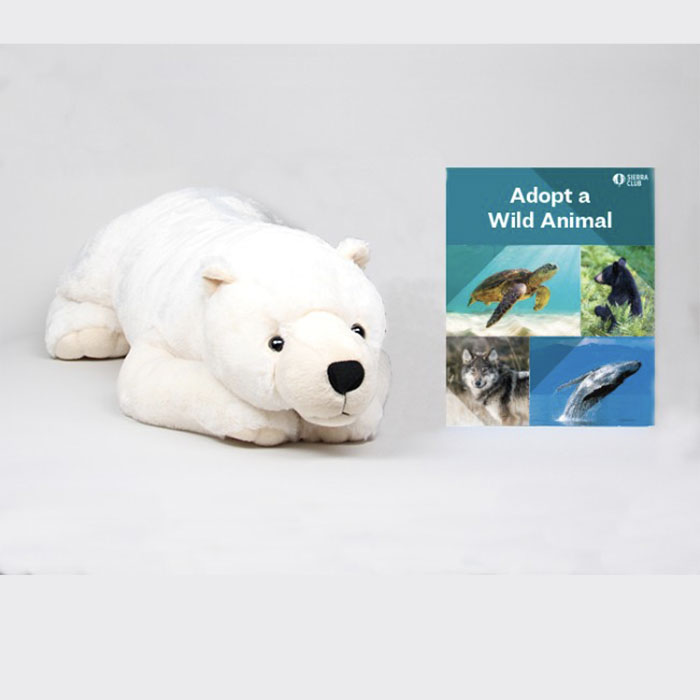 Polar Bear
