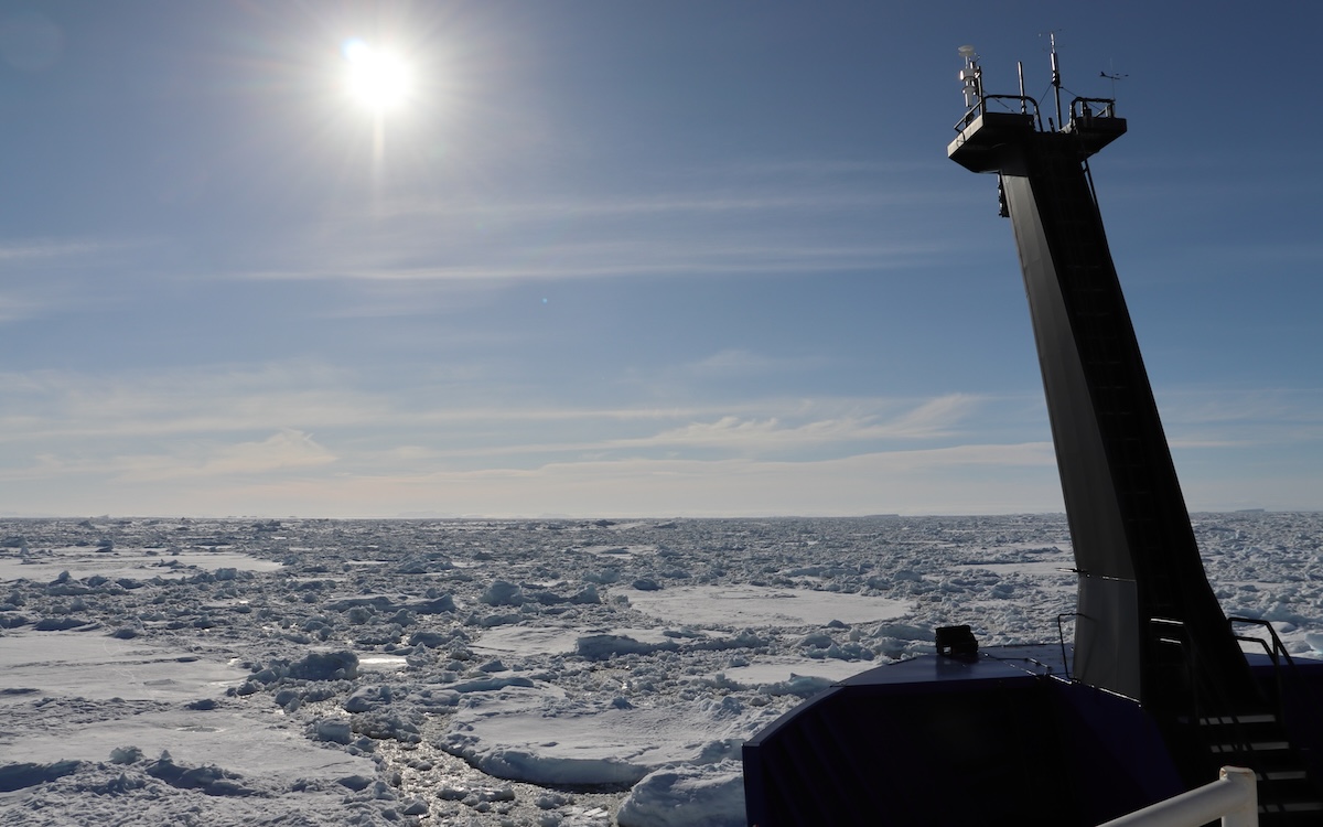 Photo courtesy of Tricia Thibodeau