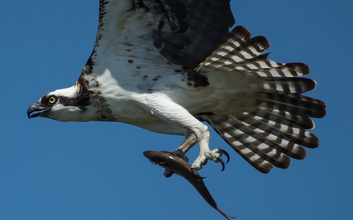 Photo courtesy of Bryan Watts 