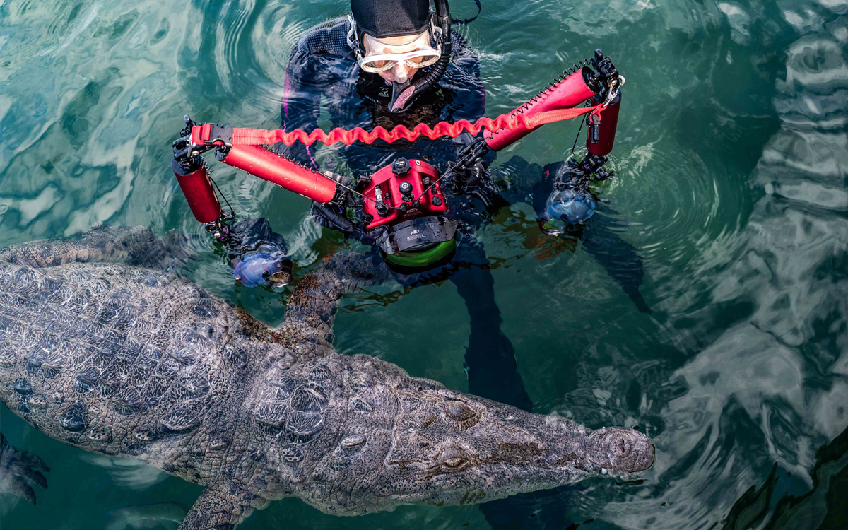 Photo by Tanya Houppermans 