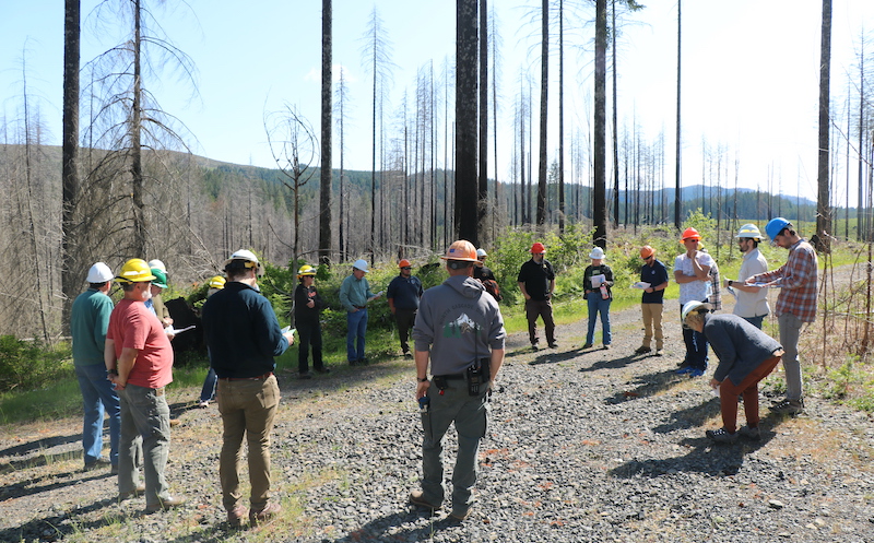 A group of people stand in a circle talking on a dirt forest road