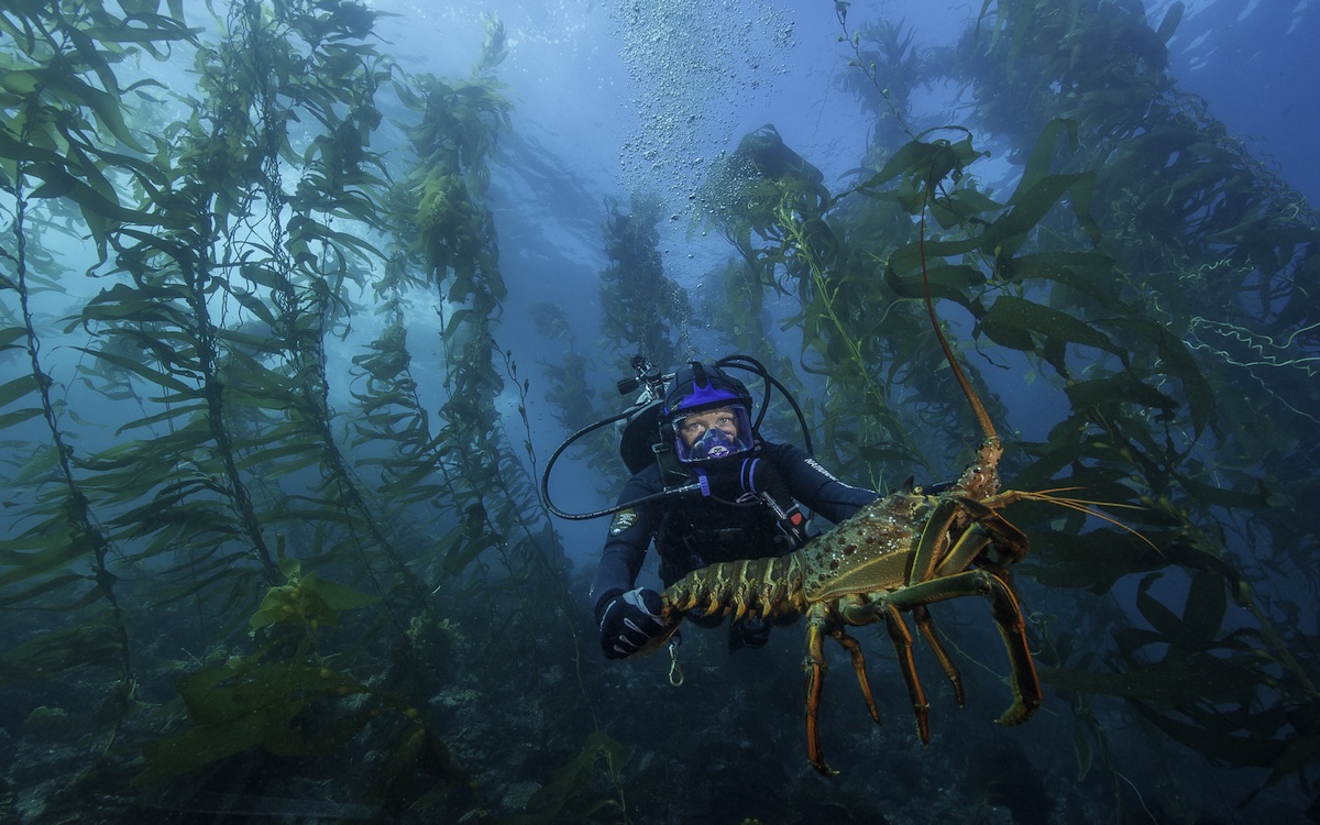 Photo courtesy of the National Park Service