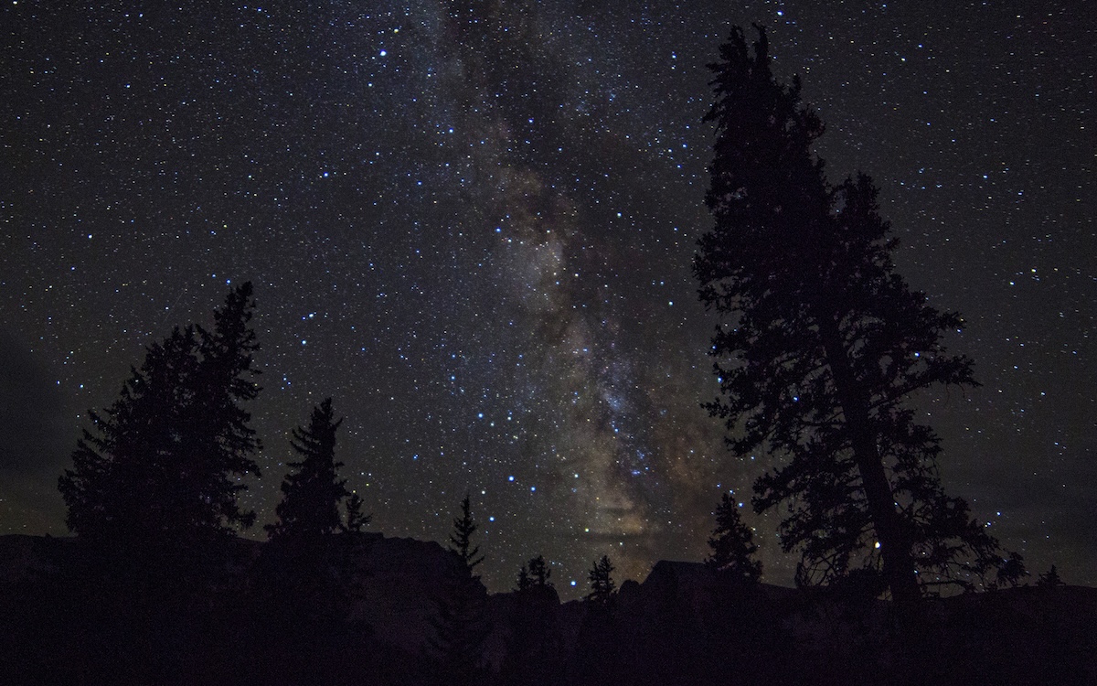 Photo courtesy of Travel Nevada
