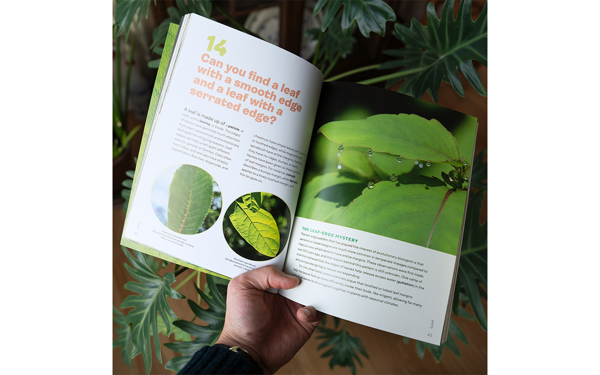 Photo courtesy of Ben Goulet-Scott 