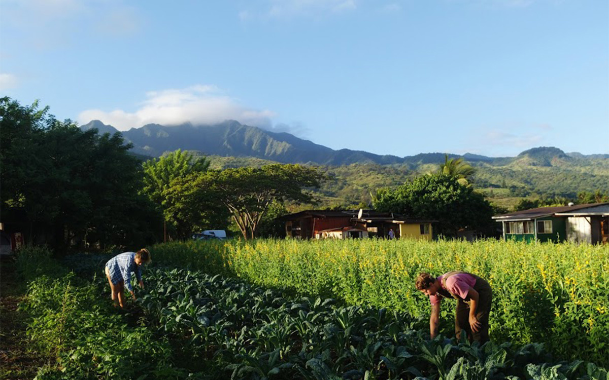 Photos courtesy of Worldwide Opportunities on Organic Farms (WWOOF)