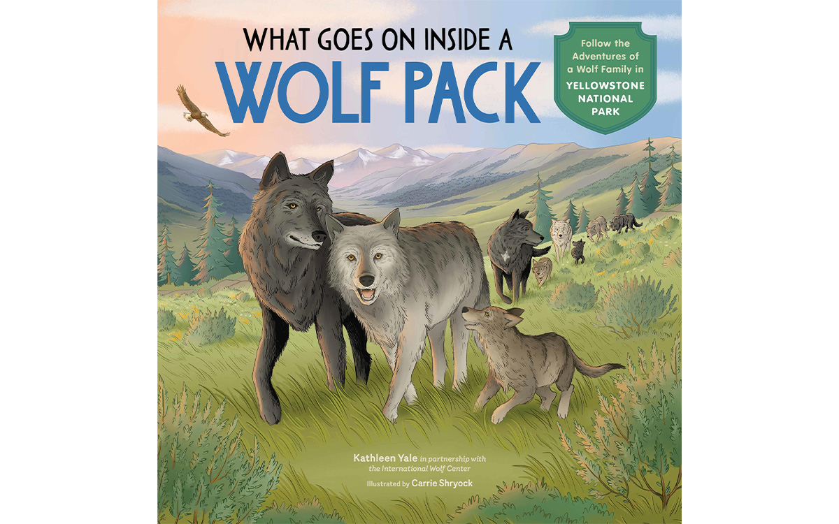 What Goes On Inside a Wolf Pack