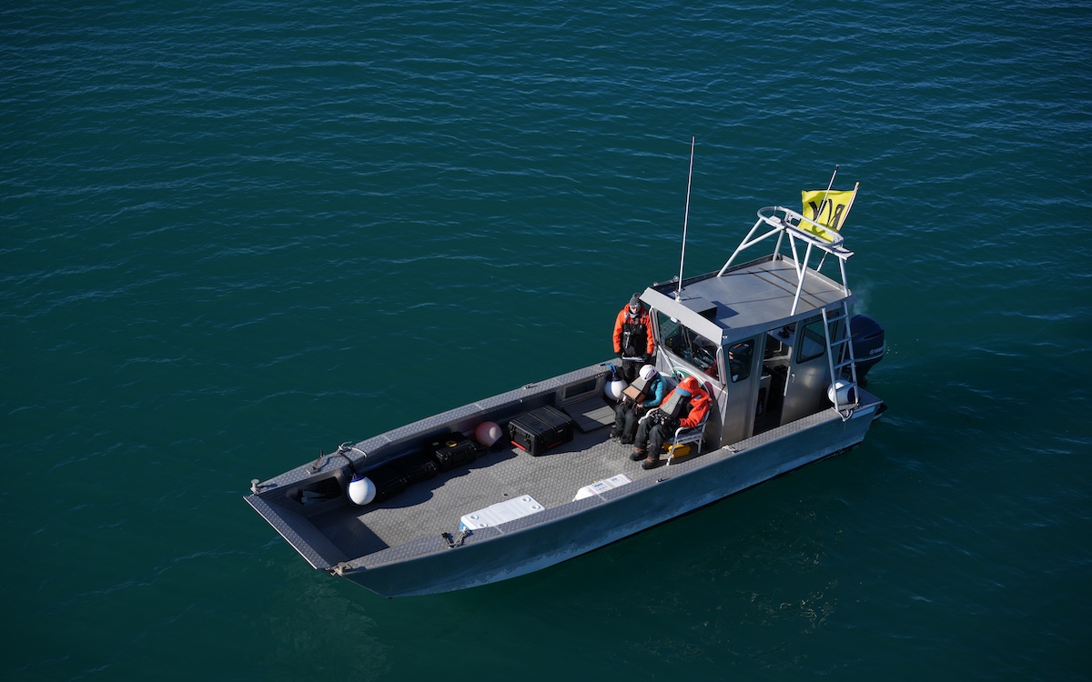 Photo courtesy of WHOI Michael Moore and Carolyn Miller NMFS Permit 21371