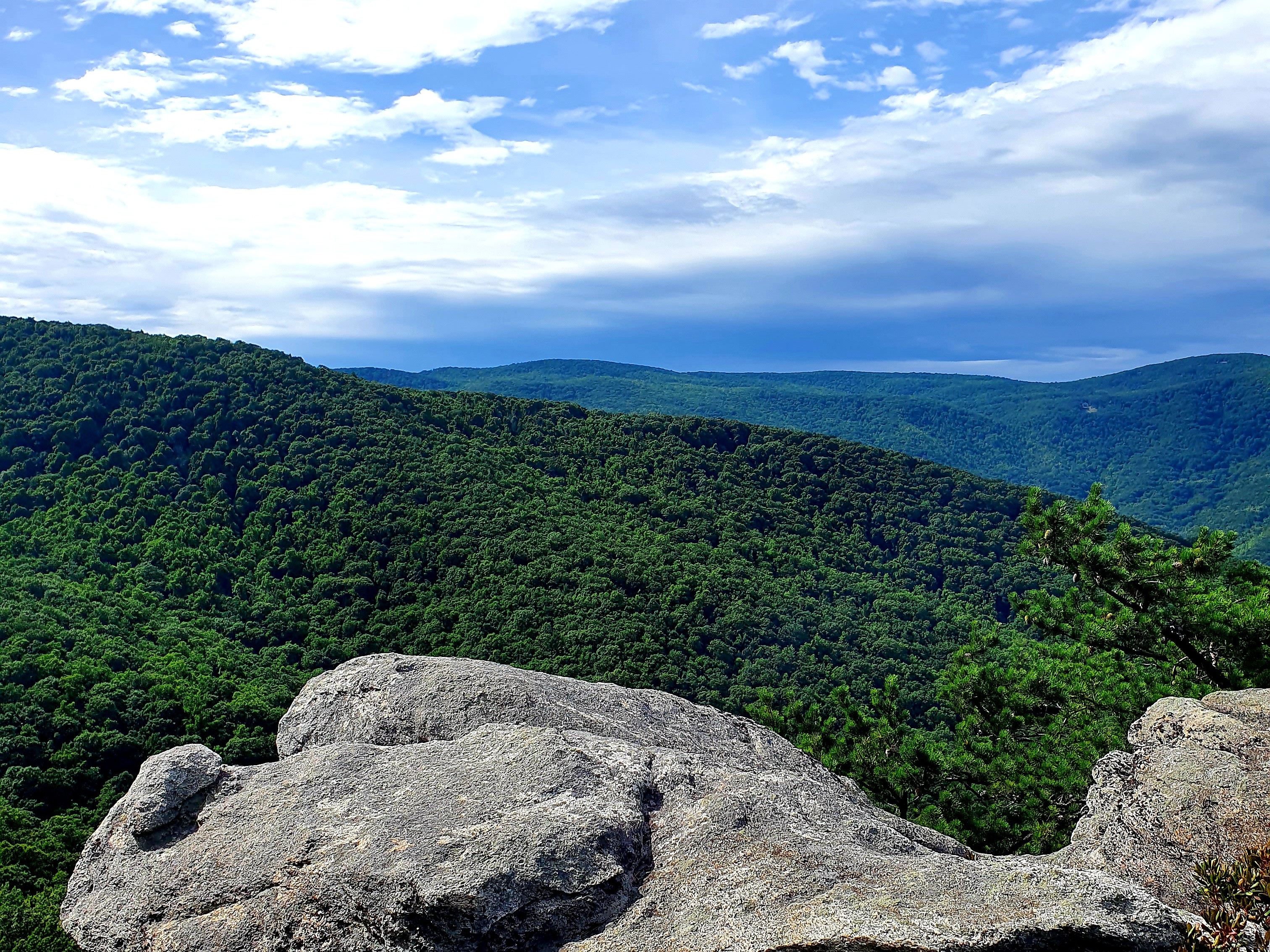 Photo of the Cheoah Bald Roadless Area in North Carolina
