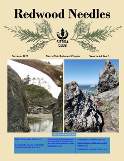Needles_Cover for Summer 2026 Issue