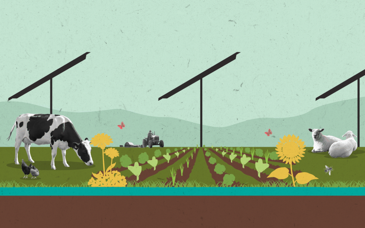 Illustration shows a farm setting with a cow, chickens, sheep, a barn, a sunflower, a farmer on a tractor, crops, and solar panels.