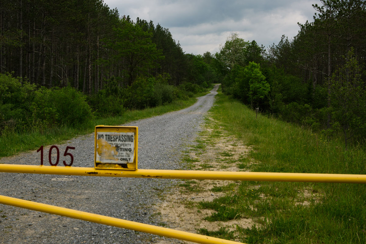 A road leading to the location of a proposed data center complex near David and Thomas, West Virginia.