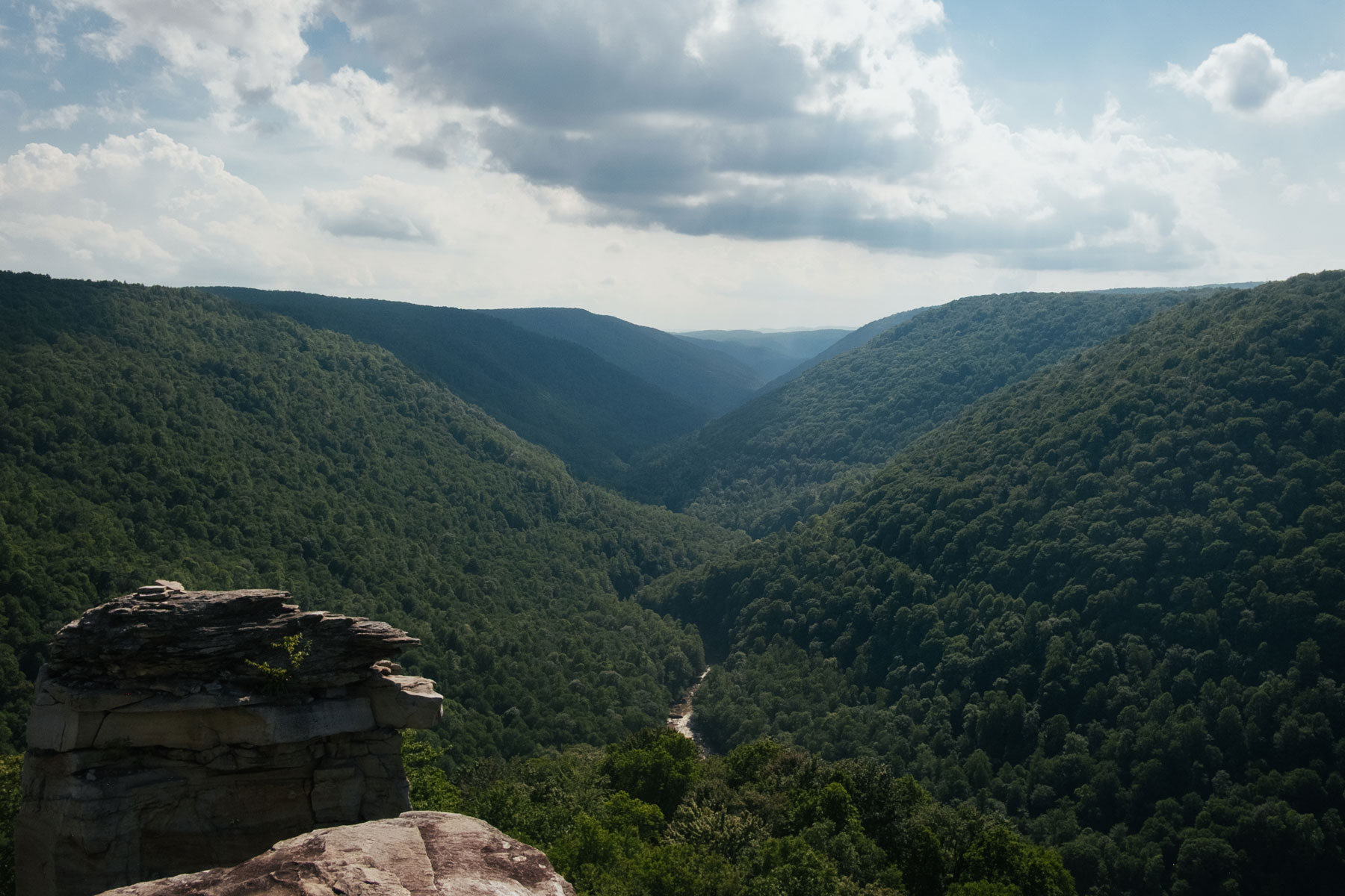 Tucker County, West Virginia (view from Lindy Point toward Blackwater Canyon).