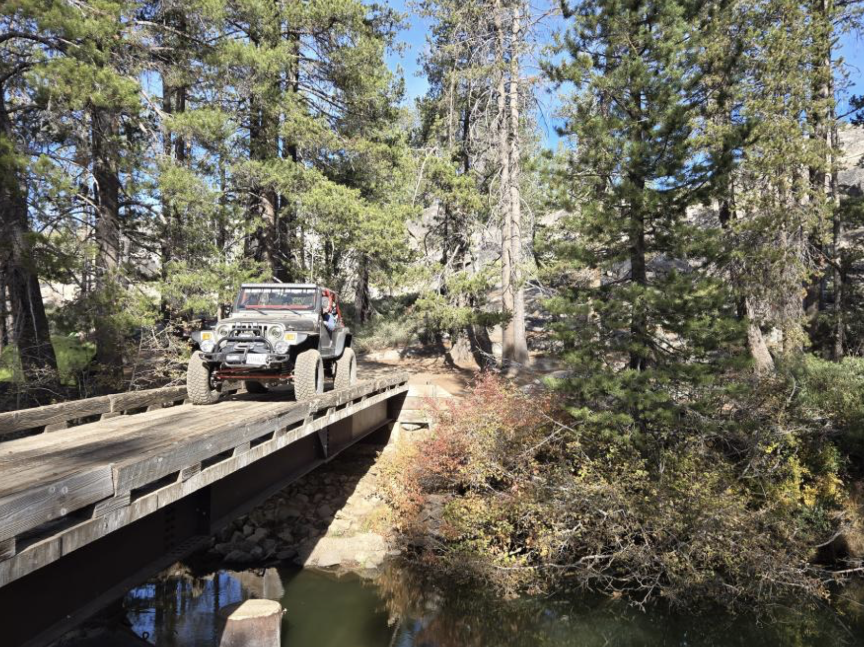 Car crossing bridge in forest