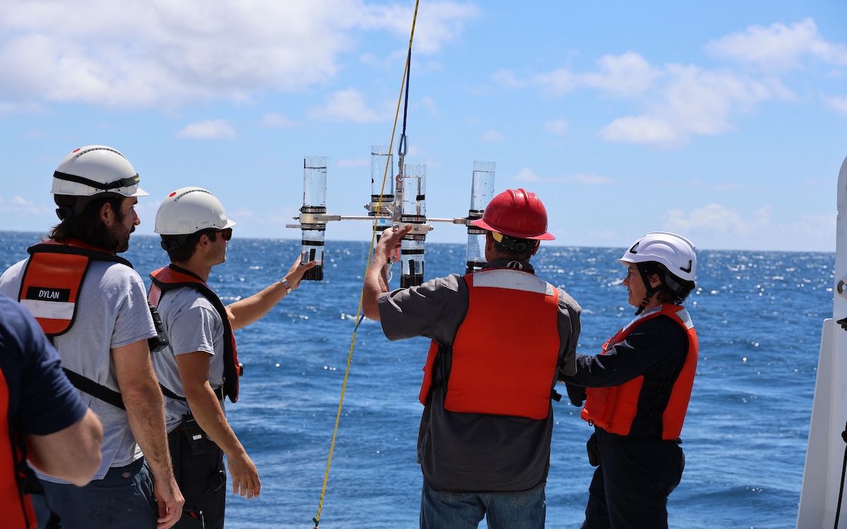 Photo courtesy of Larissa Lemon/MBARI