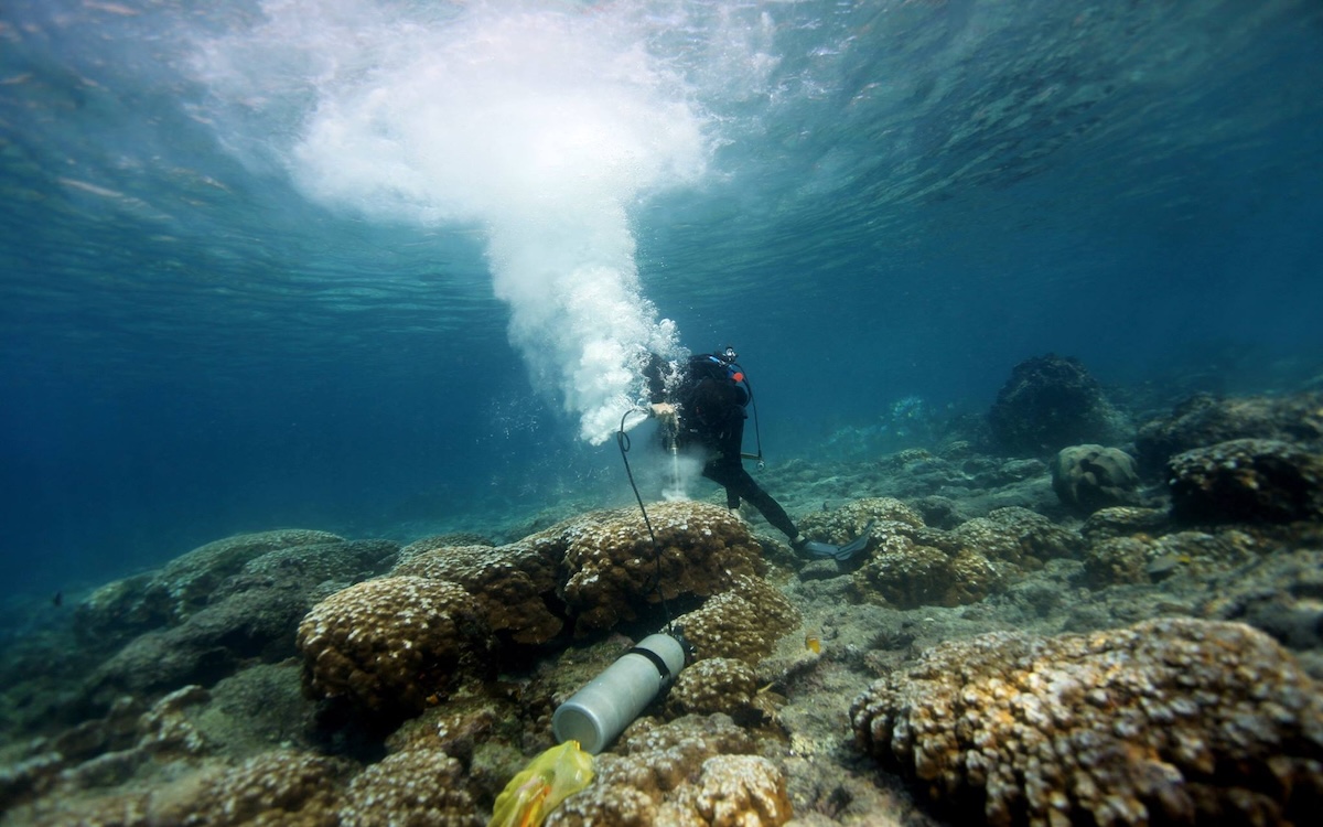 Photo by NOAA