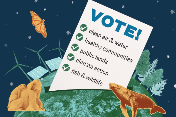 a graphic depicting the earth as a ballot box that says "vote! for clean air and water, healthy communities, public lands, climate action, and fish and wildlife.