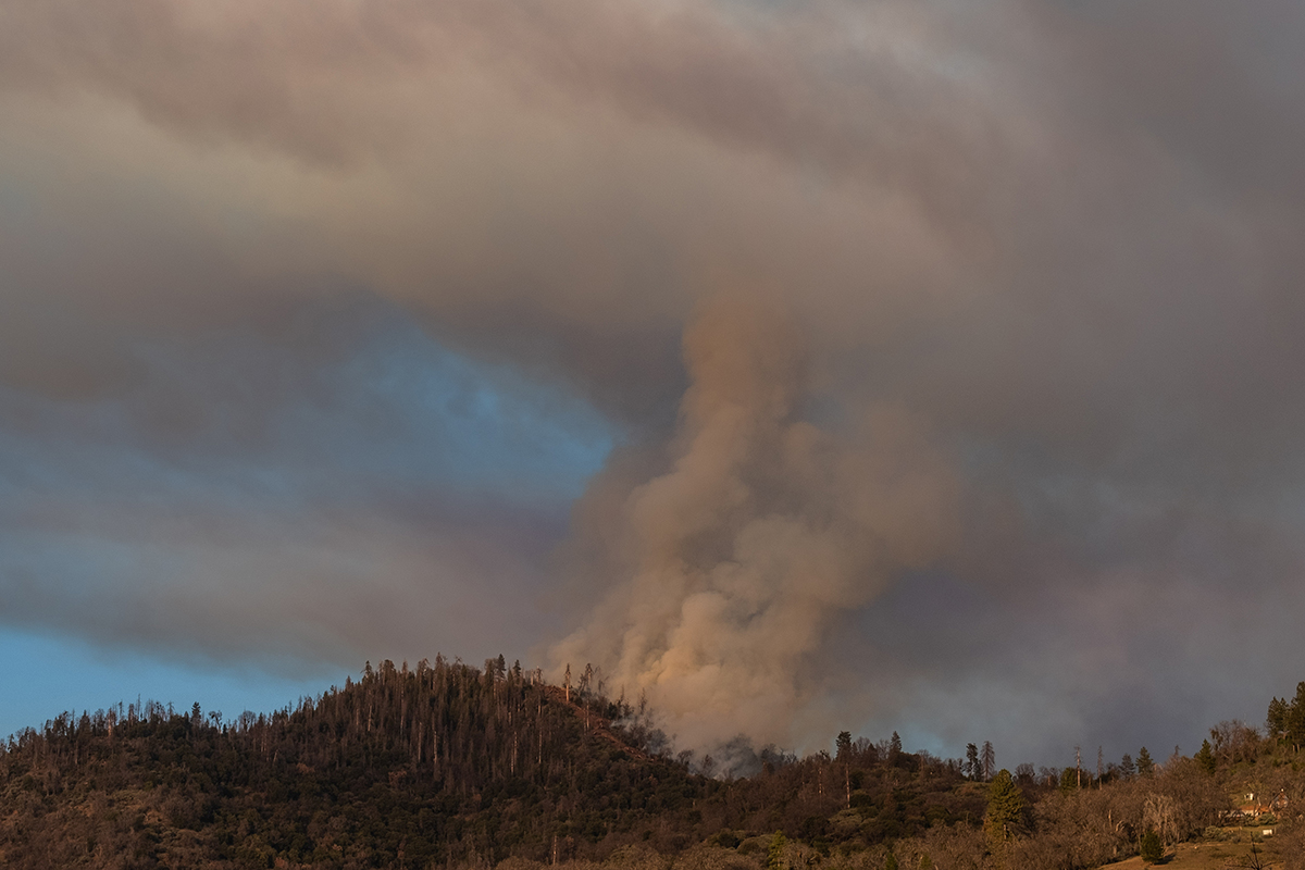 A prescribed fire burns in Sequoia and Kings Canyon National Park.