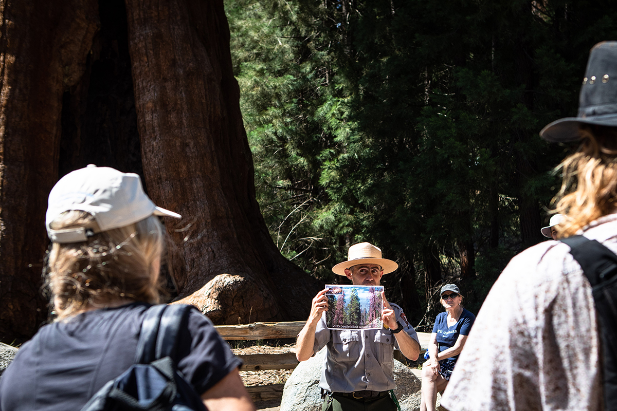 Jeffrey Zylland, a ranger working for Sequoia and Kings Canyon National Park, gives a talk to visitors at the base of the General Sherman Tree.
