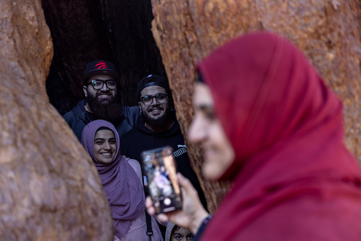The Arian family, visiting from Los Angeles with relatives from Canada, take a photo inside a fire cavity at the base of a giant sequoia.