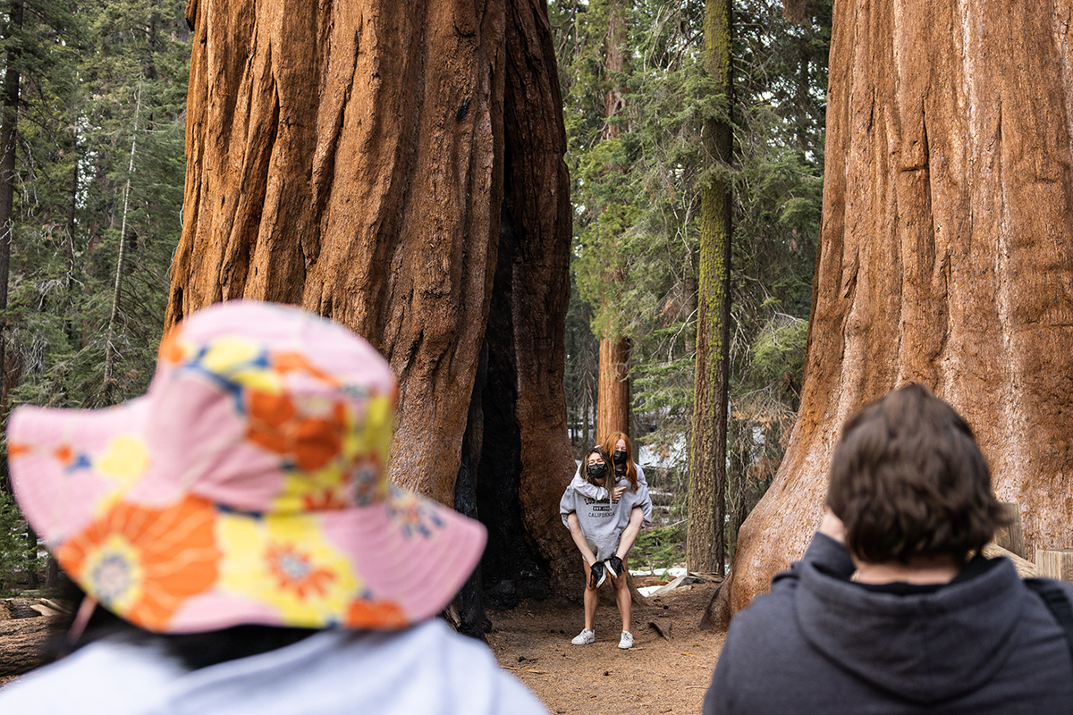 Students from a Michigan-based foreign exchange program flew to California to see the sequoias. They arrived in sun hats and shorts, only to realize that the trees are at an elevation of 8,000 feet, where there is snow on the ground for much of the year.