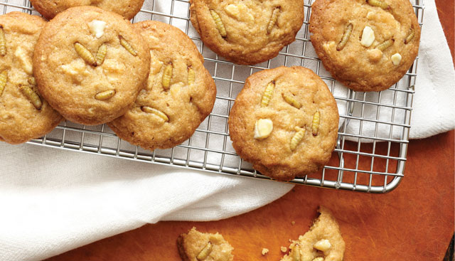 White Chocolate and Wax Worm Cookies