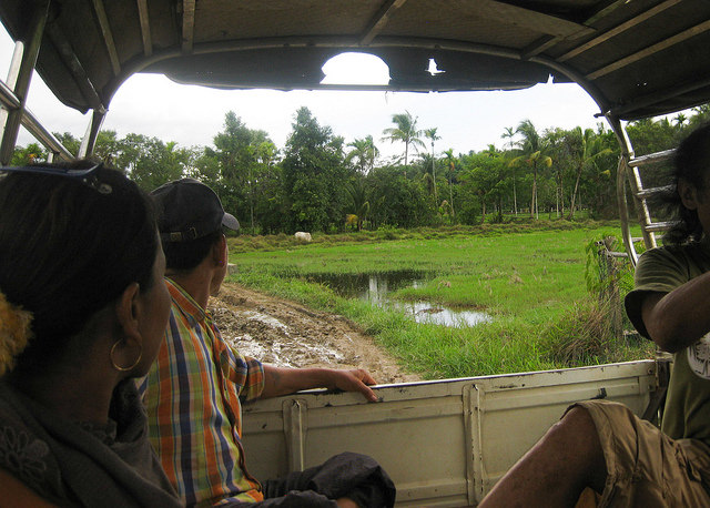 On the way to the proposed site