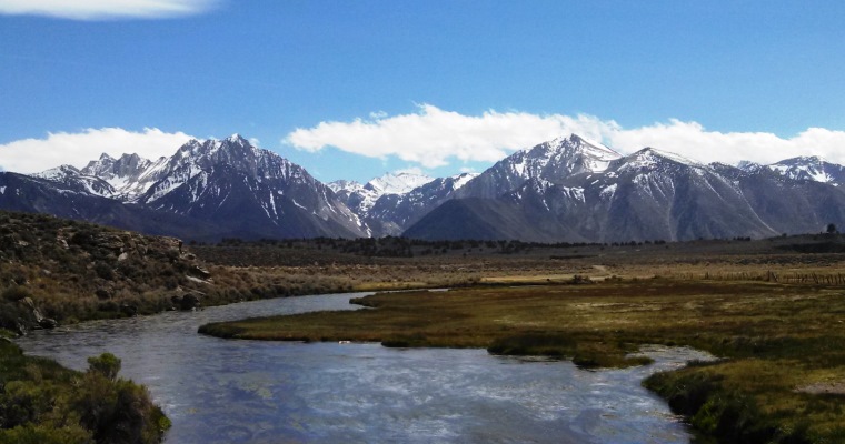 Inyo National Forest 