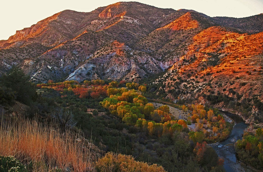 The Gila River - Gila Conservation Coalition