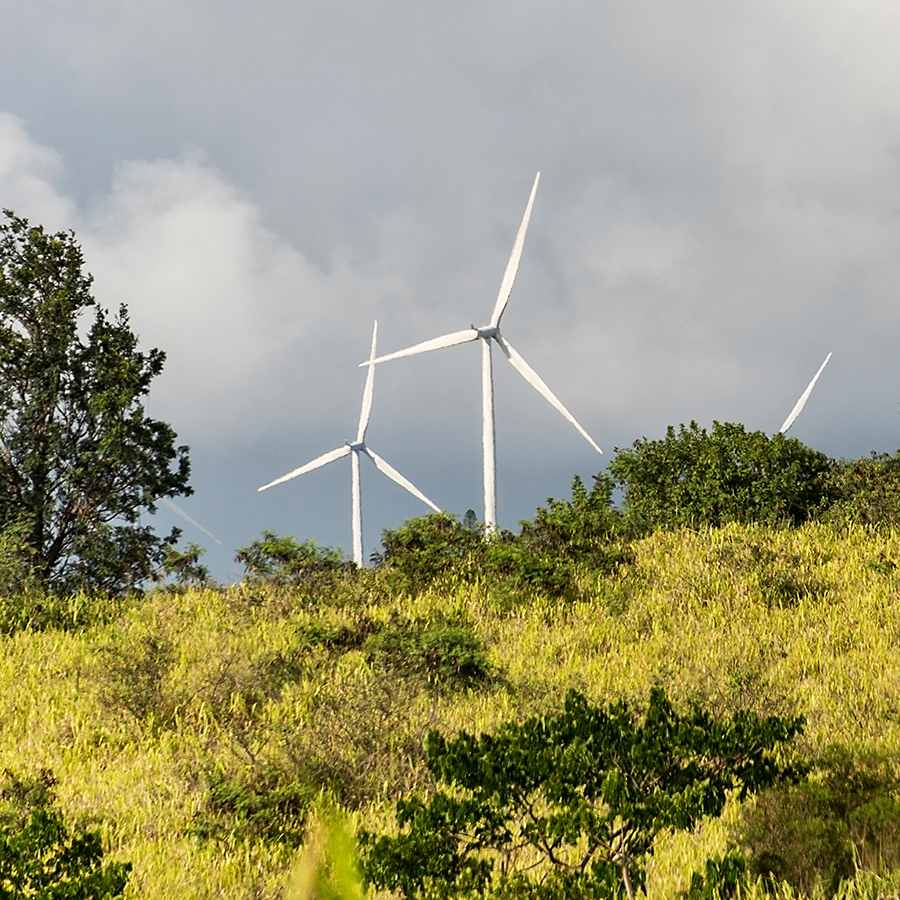 Hawai'i Renewables #ReadyFor100 IMG