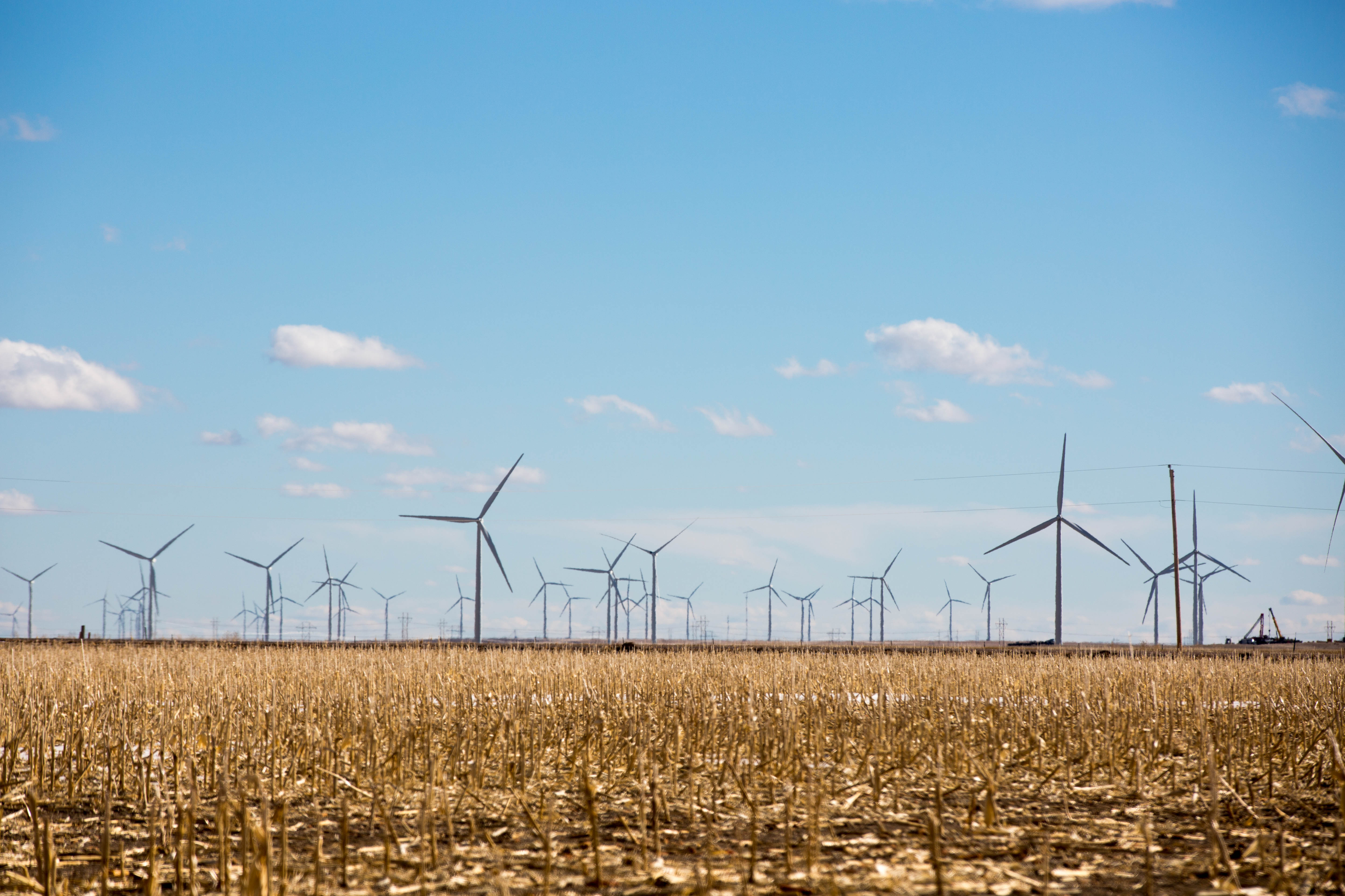 Windmills #ReadyFor100 IMG