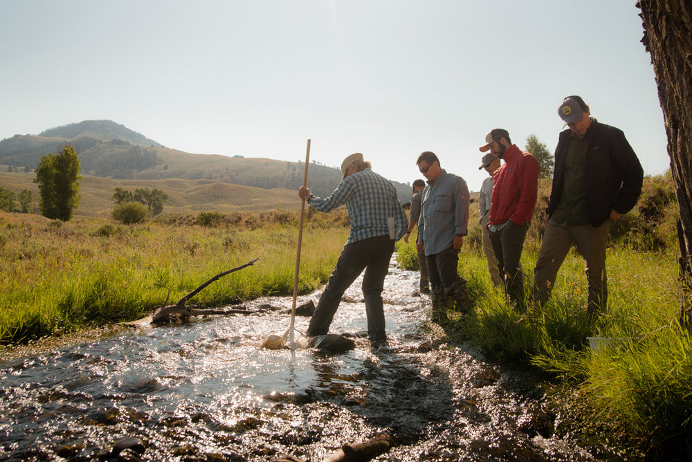 Photo by Sarah Chillson www.sarahchillson.com