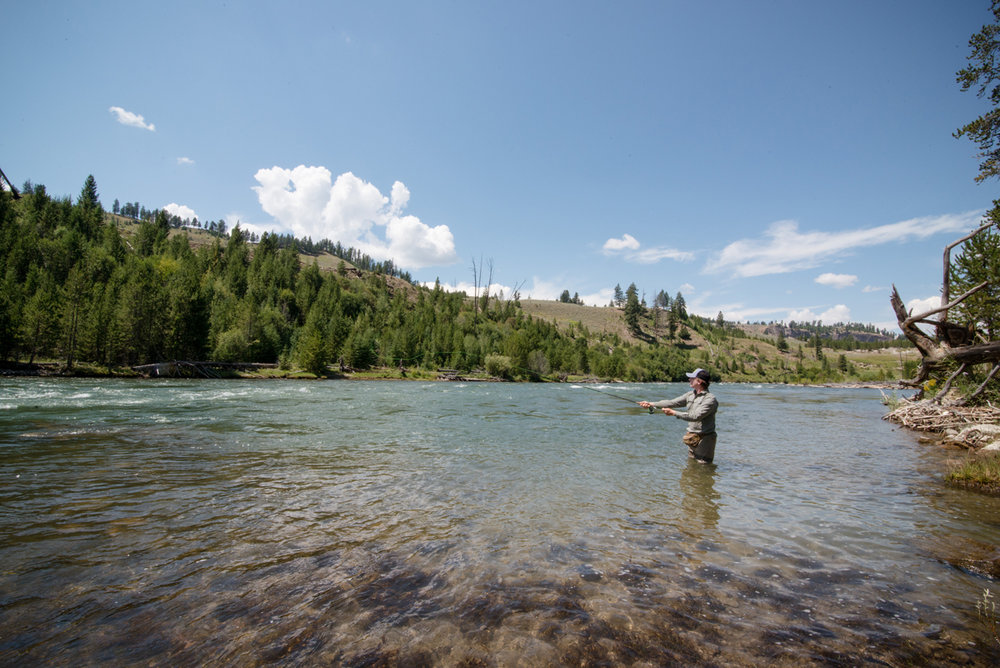 Photo by Sarah Chillson www.sarahchillson.com