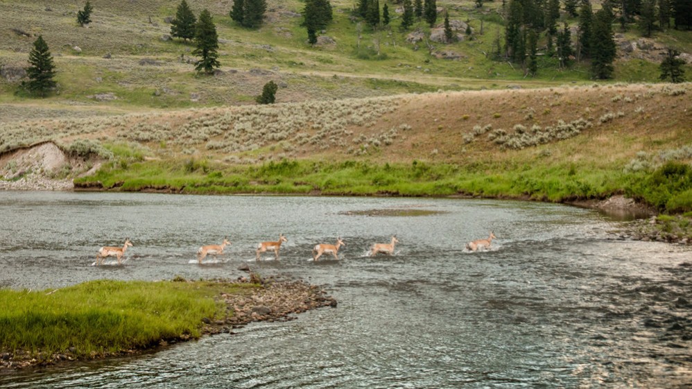 Photo by Sarah Chillson www.sarahchillson.com